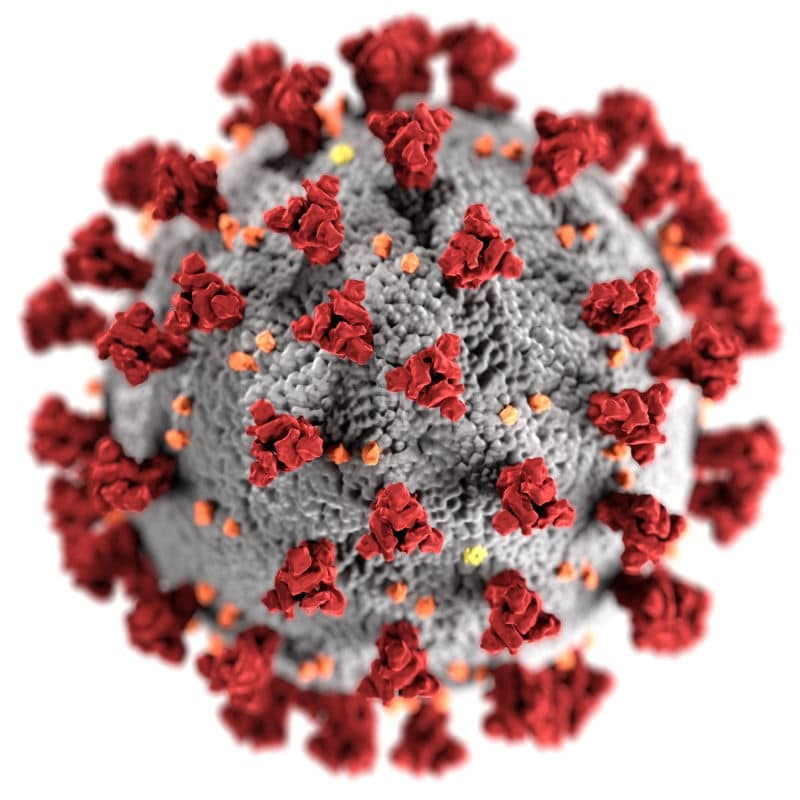 Schematische Darstellung COVID-19 SARS-CoV2 Corona